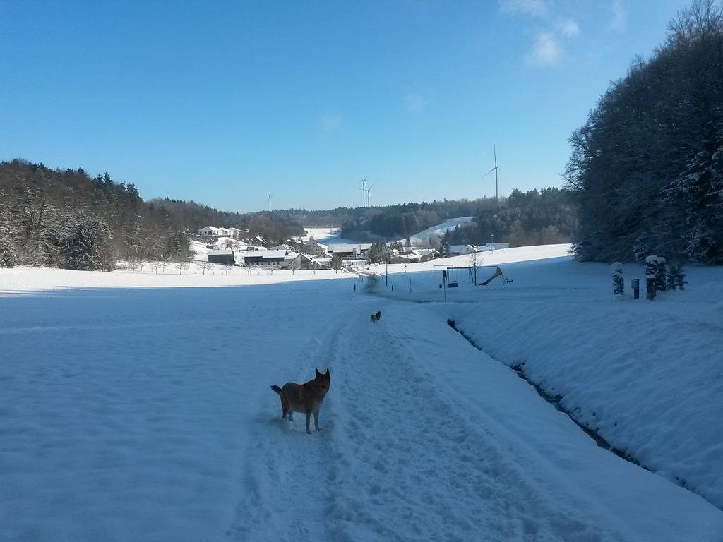 Ferienwohnung Am Kapellenaecker Neumarkt in der Oberpfalz Buitenkant foto